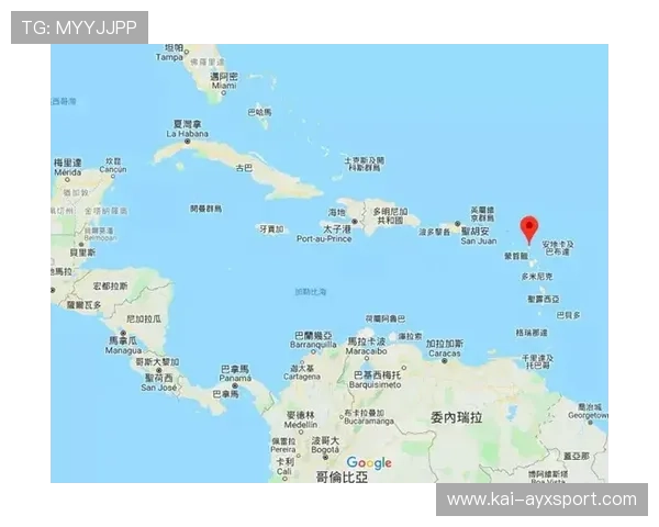 安提瓜青少年滑板比赛圆满结束,安提瓜的华人生活