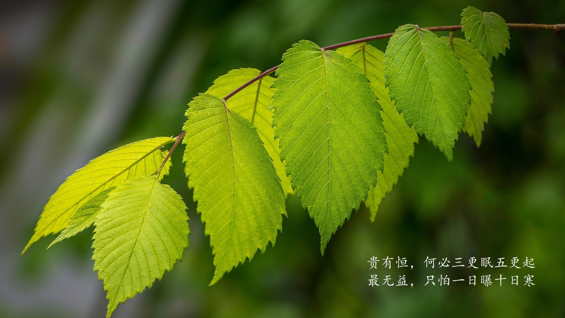 爱游戏app下载-新闻中心优秀员工表彰大会举行,新闻中心优秀员工表彰大会举行仪式