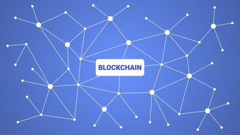 爱游戏体育官网-英超青训营引入虚拟现实技术强化战术理解,英超vr新规则